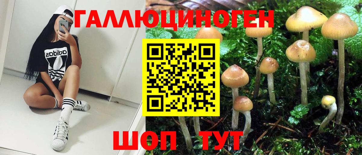 Галлюциногенные грибы ЛСД Семёнов