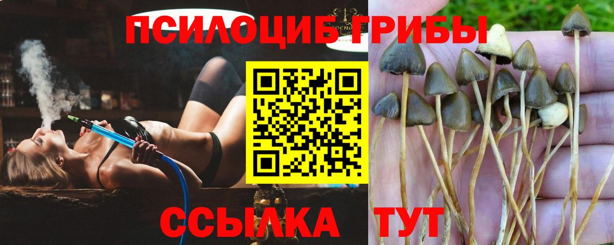 Галлюциногенные грибы прущие грибы  Вход с VPN  Семёнов 